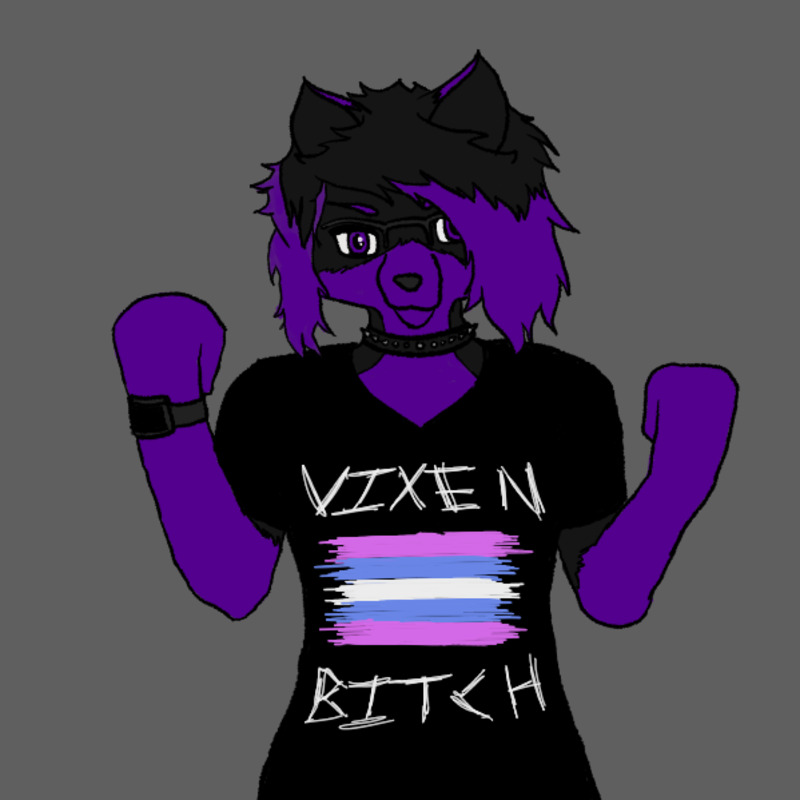 Same fox, now female, holding up fists in...a way, and wearing a shirt with an incorrect trans flag and the text 'Vixen Bitch'
