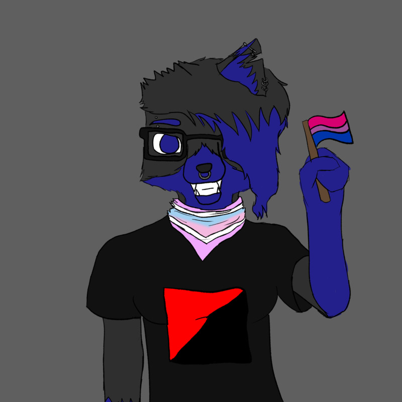 Aura holding a bixexual pride flag and wearing a intersex pride flag bandana and a anarcho-communist flag t-shirt