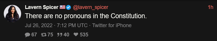 Tweet from @lavern_spicer reading 'There are no pronouns in the Constitution.'